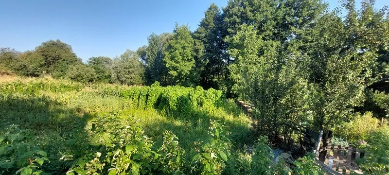 Парцел, Покрайнини, Благоевград - снимка 3 от 8
