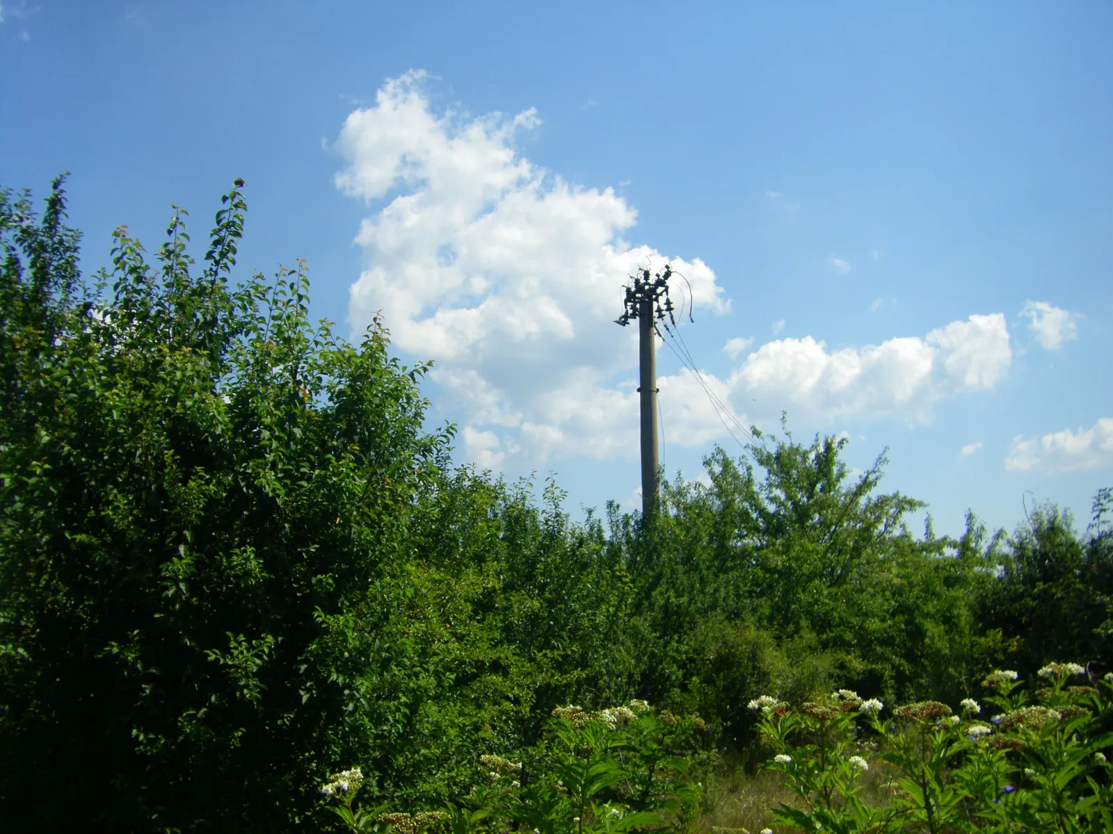 Парцел, с. Яна, София - снимка 11 от 16