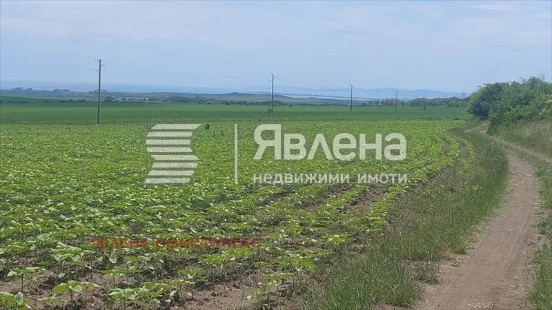 Парцел, Поморие, Югоизточна България - снимка 7 от 8