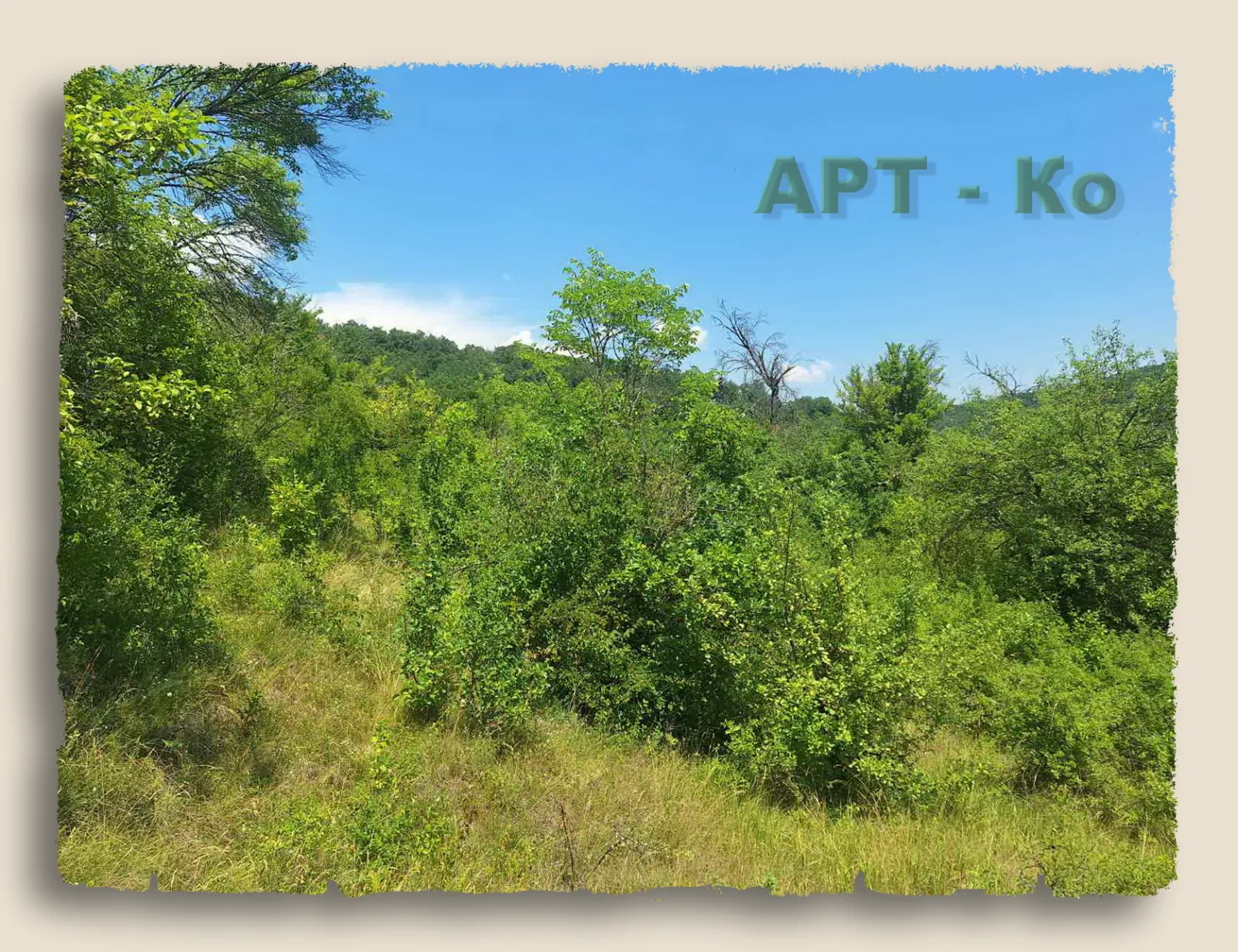 Парцел, Ковачевци, Югозападна България
