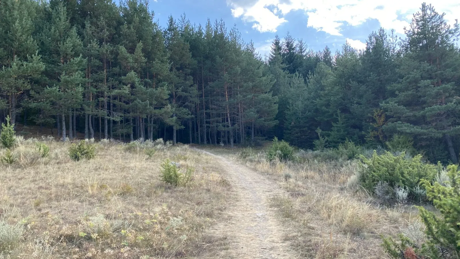 Парцел, Банско, Югозападна България - снимка 6 от 17