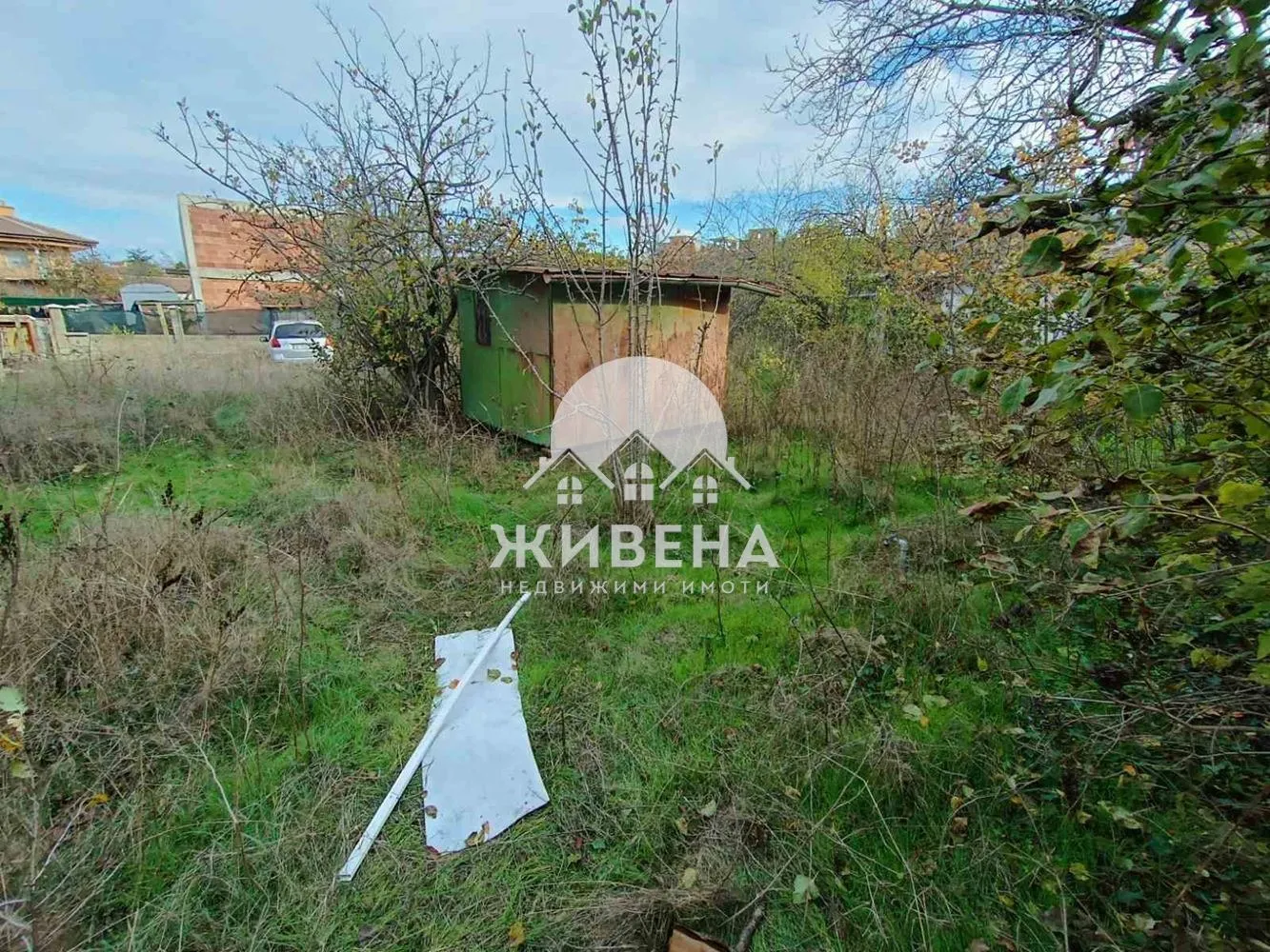 Property
