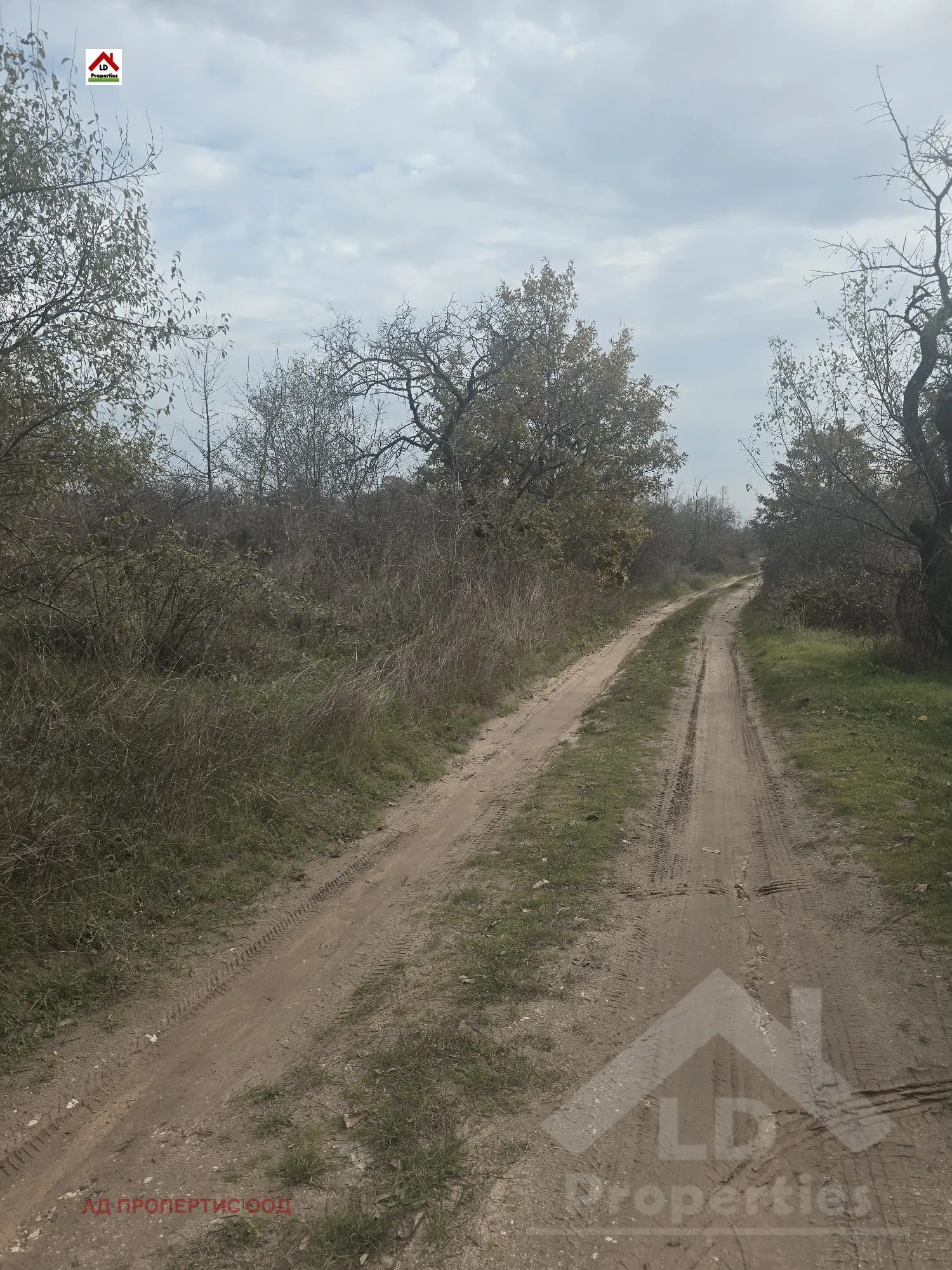Парцел, Покрайнини, Варна - снимка 3 от 13