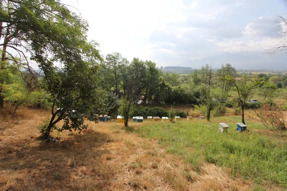 Парцел, Разлог, Югозападна България - снимка 14 от 15