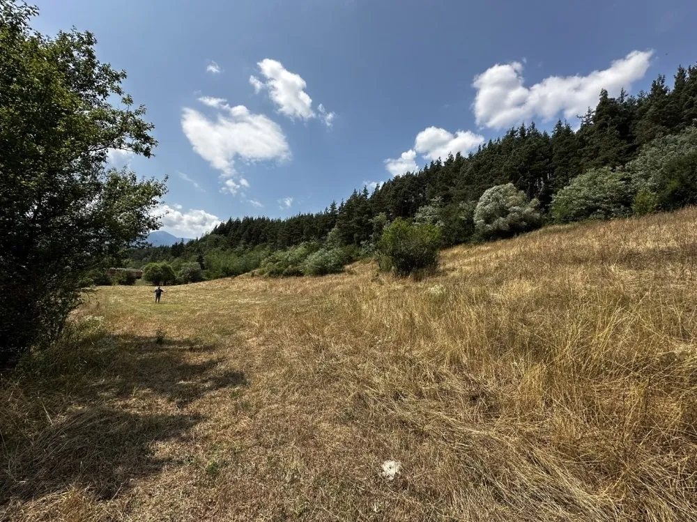 Парцел, Разлог, Югозападна България - снимка 8 от 18