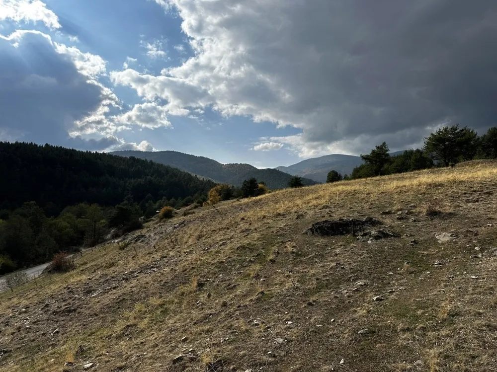 Парцел, Разлог, Югозападна България - снимка 9 от 18
