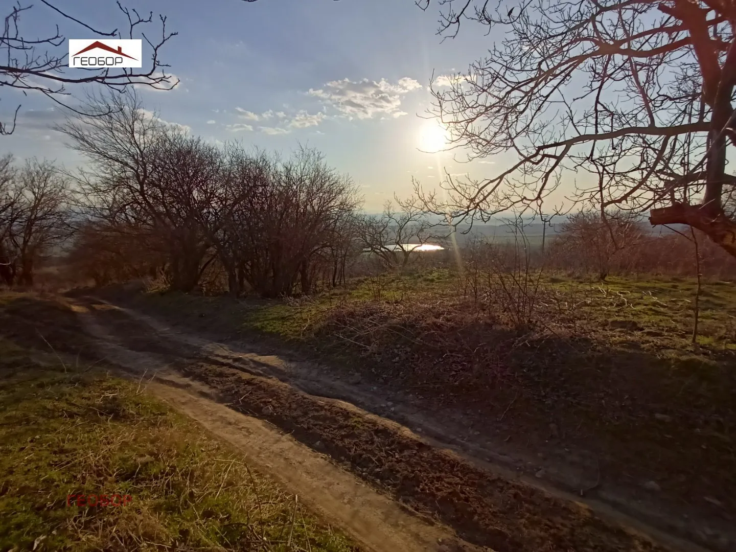 Парцел, Аврен, Североизточна България - снимка 4 от 6