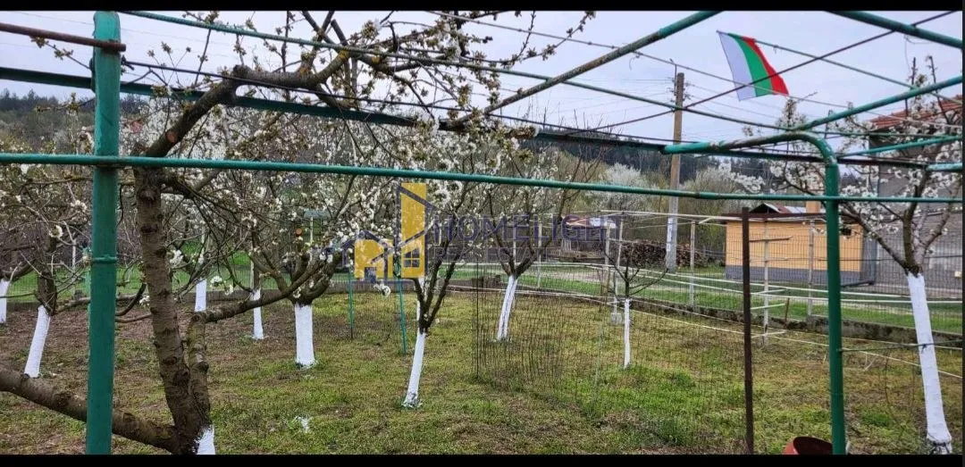 Парцел, Червен Бряг, Северозападна България - снимка 11 от 13
