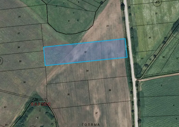 Property