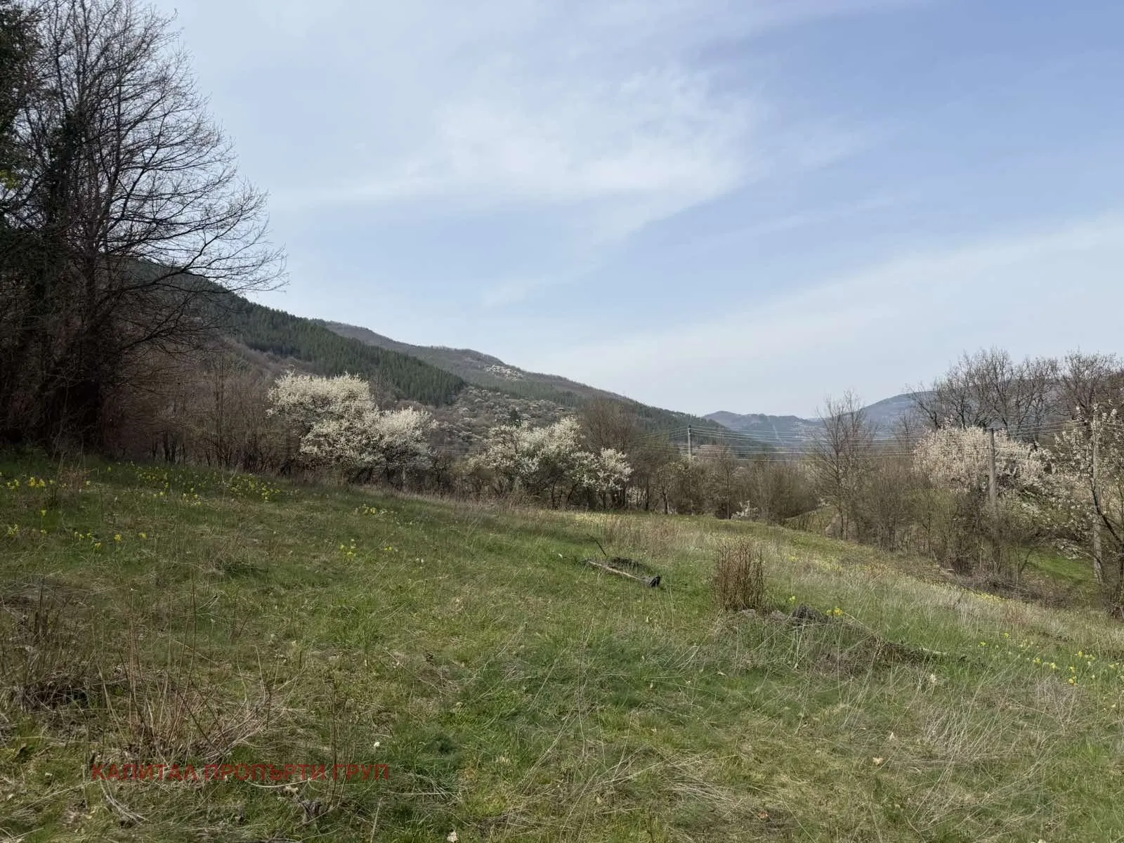 Парцел, Своге, Югозападна България - снимка 10 от 13