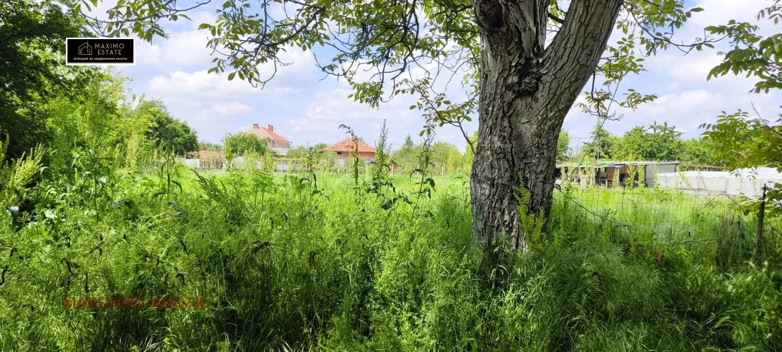Парцел, Нови Пазар, Североизточна България - снимка 2 от 5