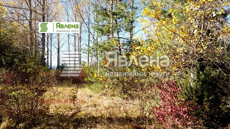 Парцел, всички, София - снимка 9 от 10