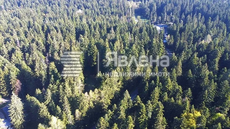 Парцел, Самоков, Югозападна България - снимка 3 от 13