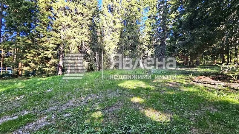 Парцел, Самоков, Югозападна България - снимка 4 от 13