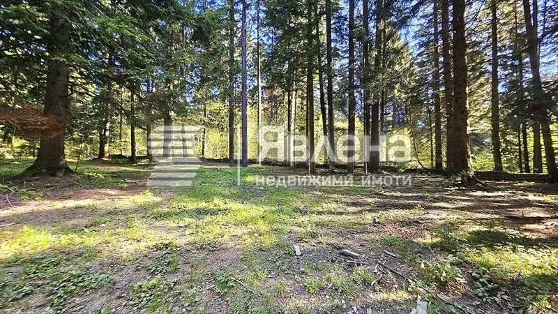 Парцел, Самоков, Югозападна България - снимка 6 от 13