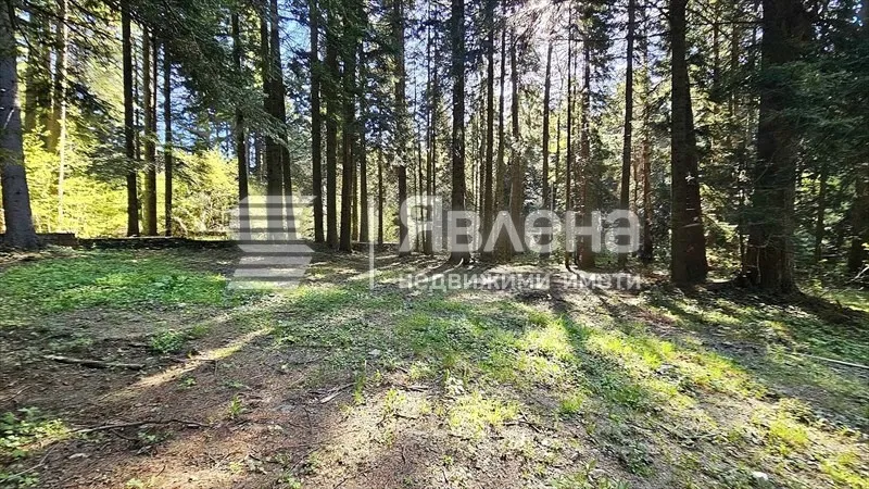Парцел, Самоков, Югозападна България - снимка 10 от 13