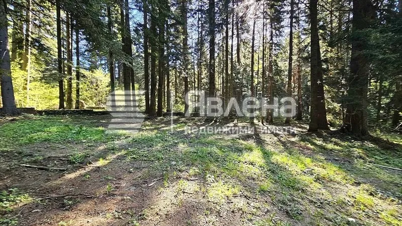 Парцел, Самоков, Югозападна България - снимка 8 от 13