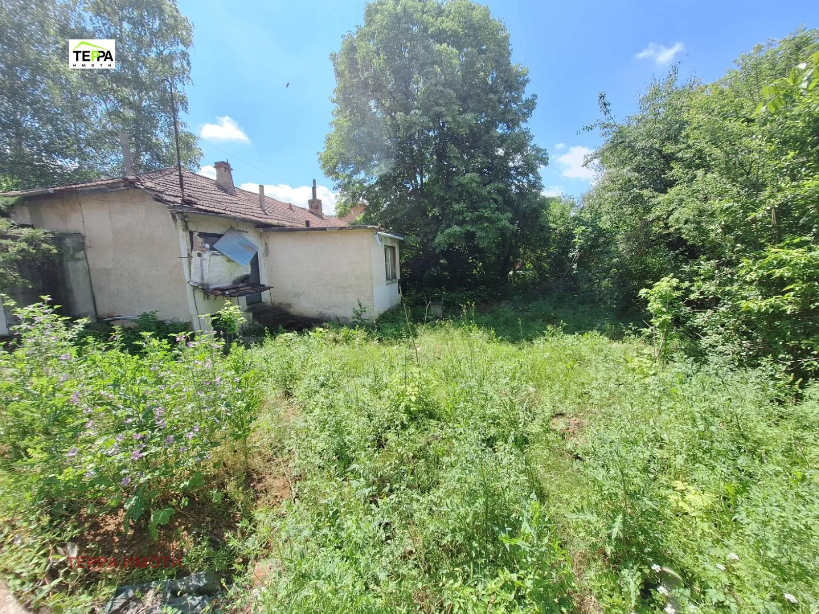 Парцел, Смолян, Южна България - снимка 2 от 6