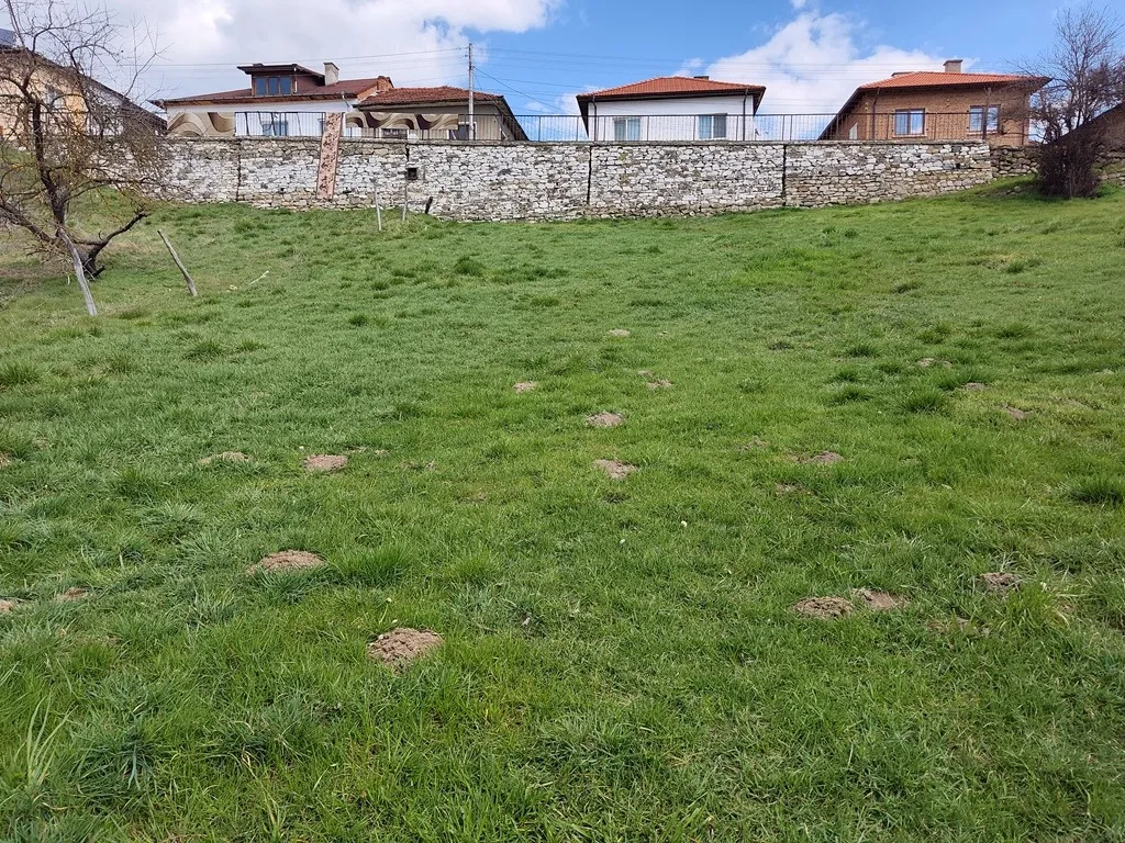 Парцел, Покрайнини, Благоевград - снимка 13 от 18