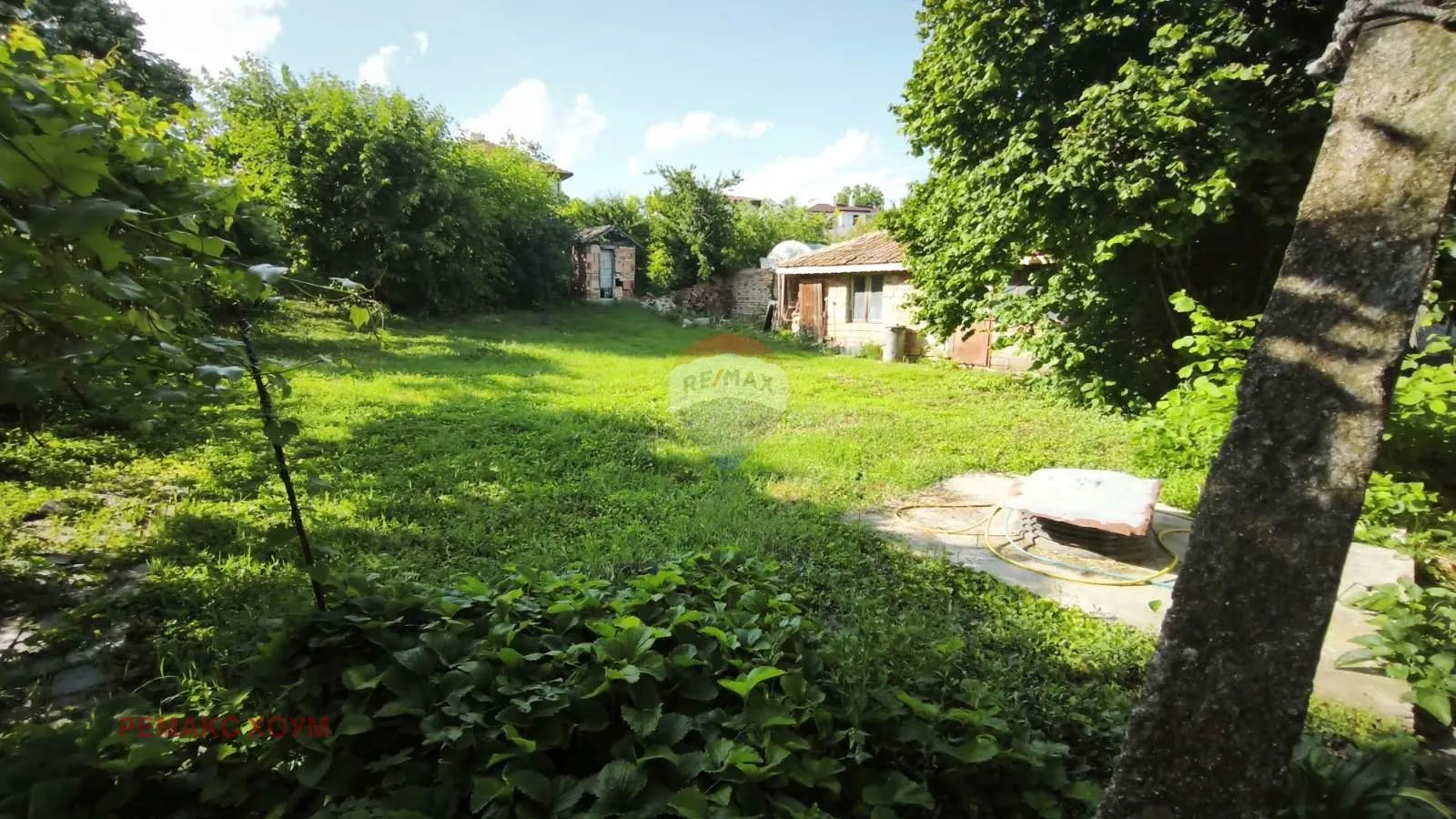 Property
