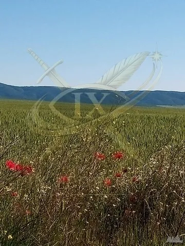 Парцел, Покрайнини, Бургас - снимка 2 от 7