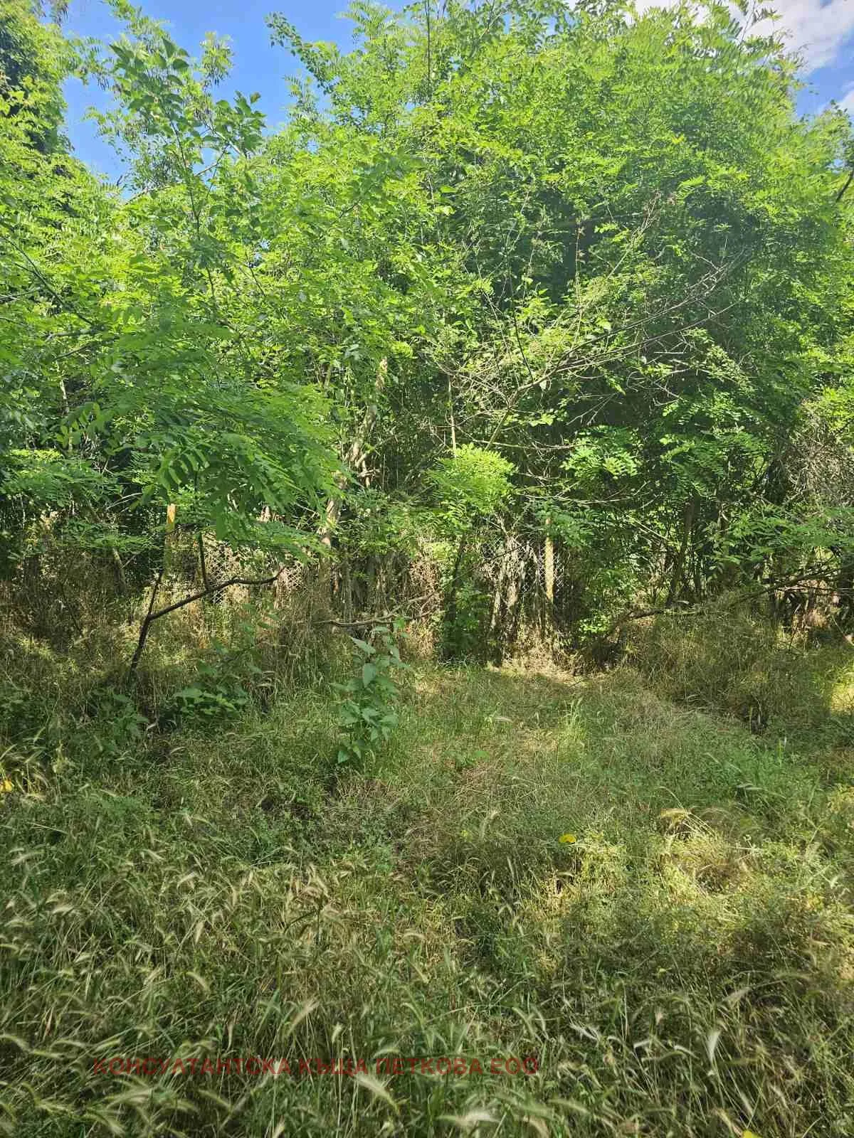 Парцел, Ловеч, Северозападна България - снимка 6 от 9