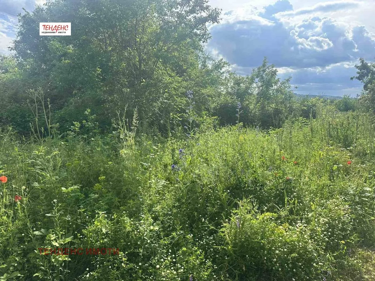 Парцел, Кърджали, Южна България - снимка 3 от 8