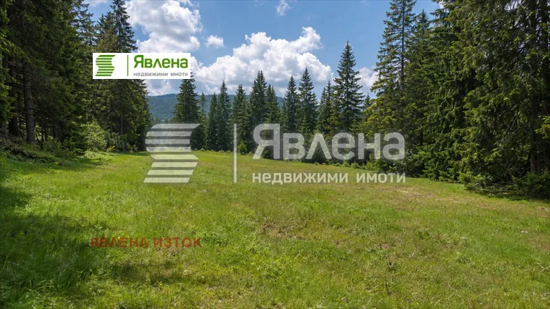 Парцел, Самоков, Югозападна България - снимка 5 от 6