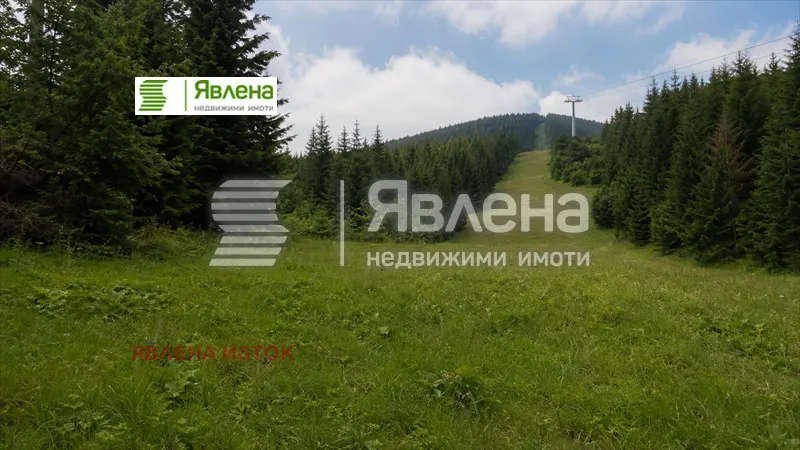 Парцел, Самоков, Югозападна България - снимка 4 от 5