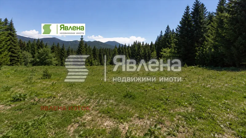 Парцел, Самоков, Югозападна България - снимка 3 от 5