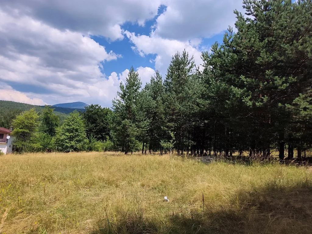 Парцел, Покрайнини, Благоевград - снимка 4 от 8