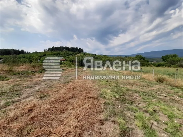 Парцел, Пазарджик, Южна България - снимка 6 от 8