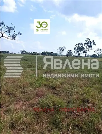 Парцел, Изгрев, Варна
