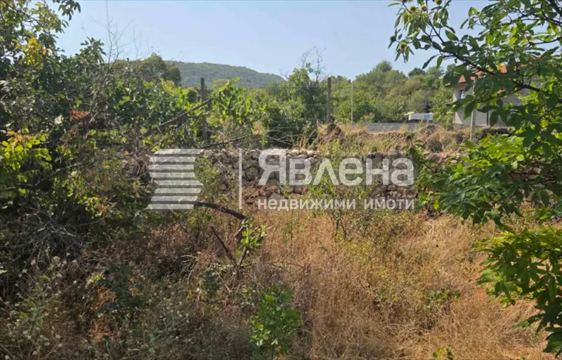 Парцел, Пазарджик, Южна България - снимка 2 от 5