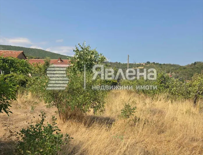 Парцел, Пазарджик, Южна България