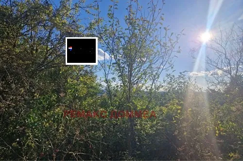 Парцел, Покрайнини, Варна - снимка 7 от 11