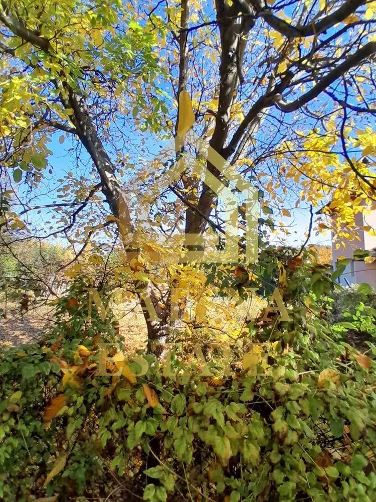 Парцел, гр. Банкя, София - снимка 4 от 10