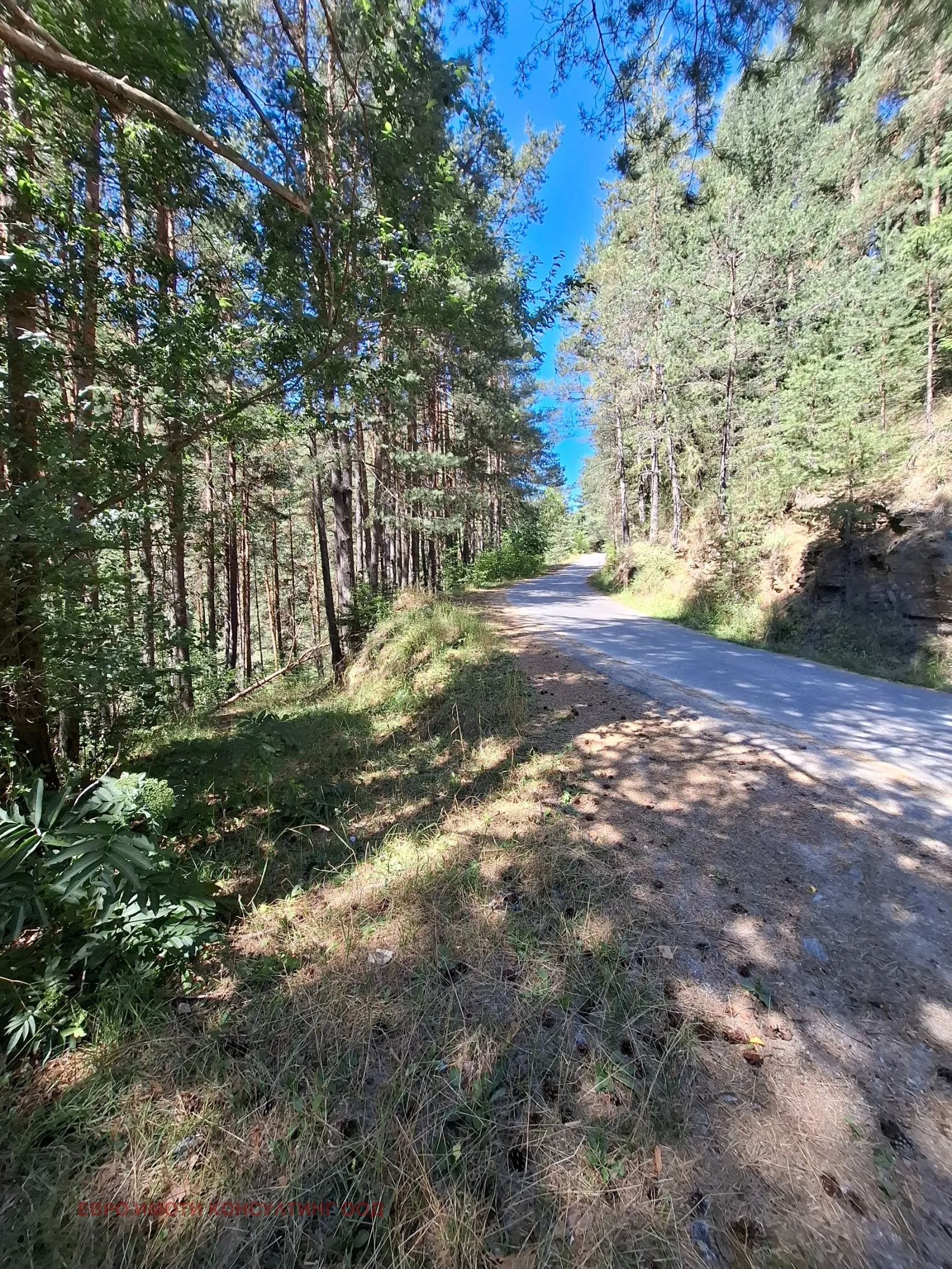 Земеделска земя, Чепеларе, Южна България - снимка 6 от 10