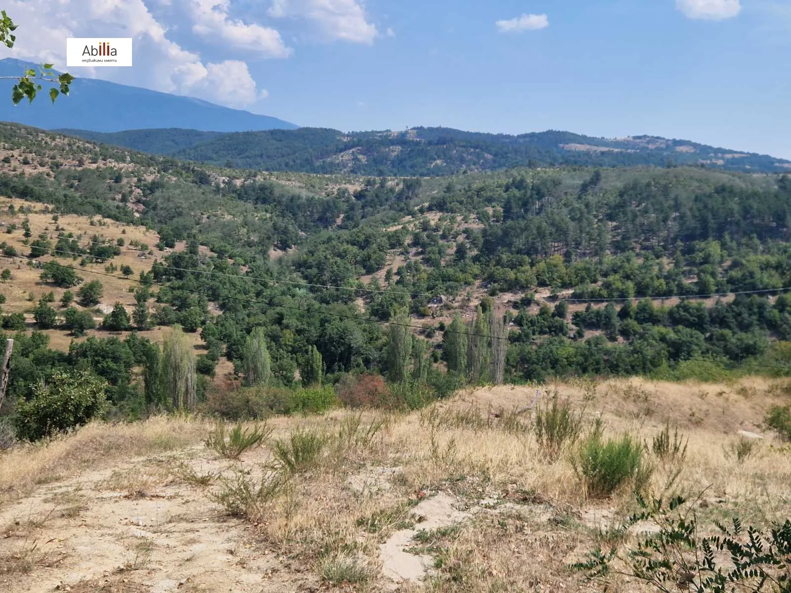 Земеделска земя, Покрайнини, Благоевград - снимка 6 от 17