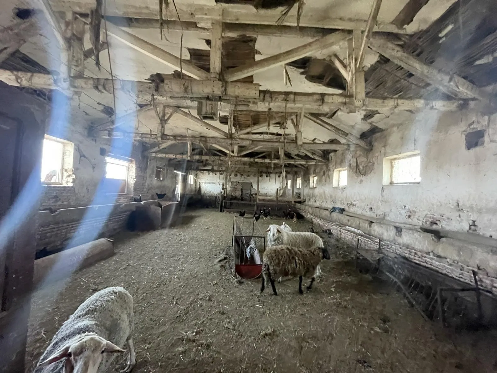 Други, Раковски, Южна България - снимка 3 от 8