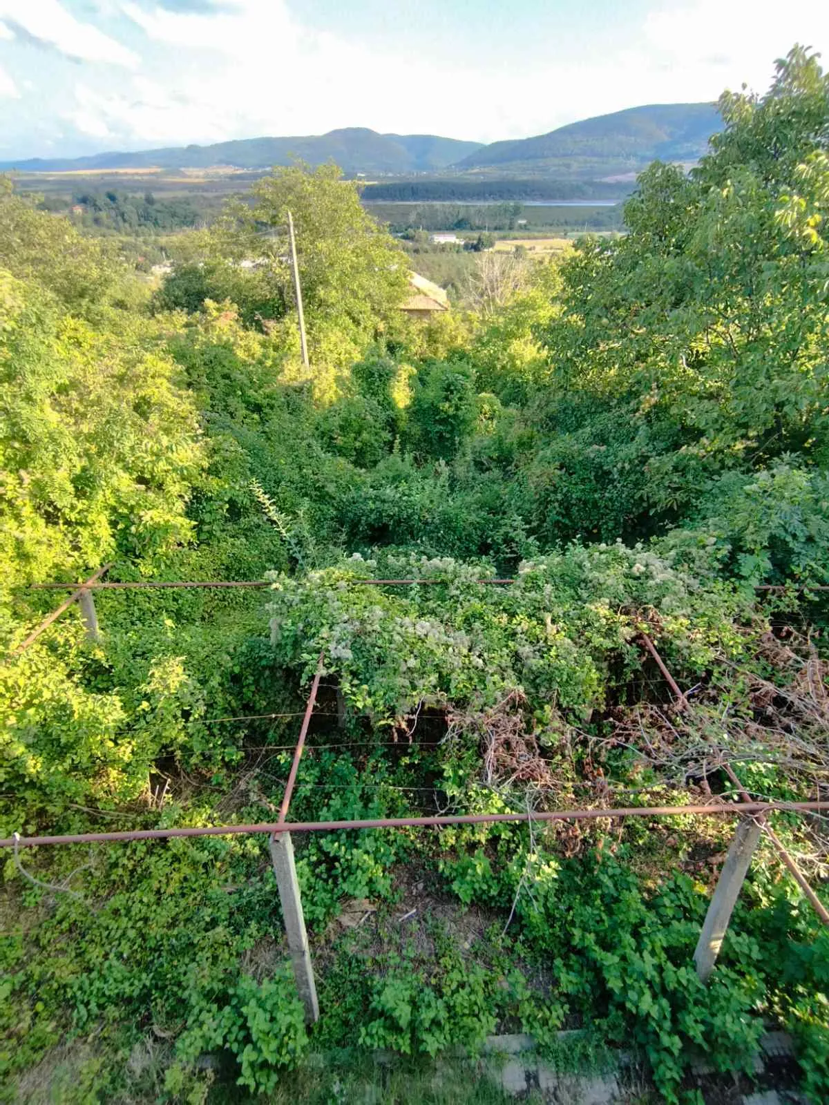 Вила, Търговище, Североизточна България - снимка 15 от 19