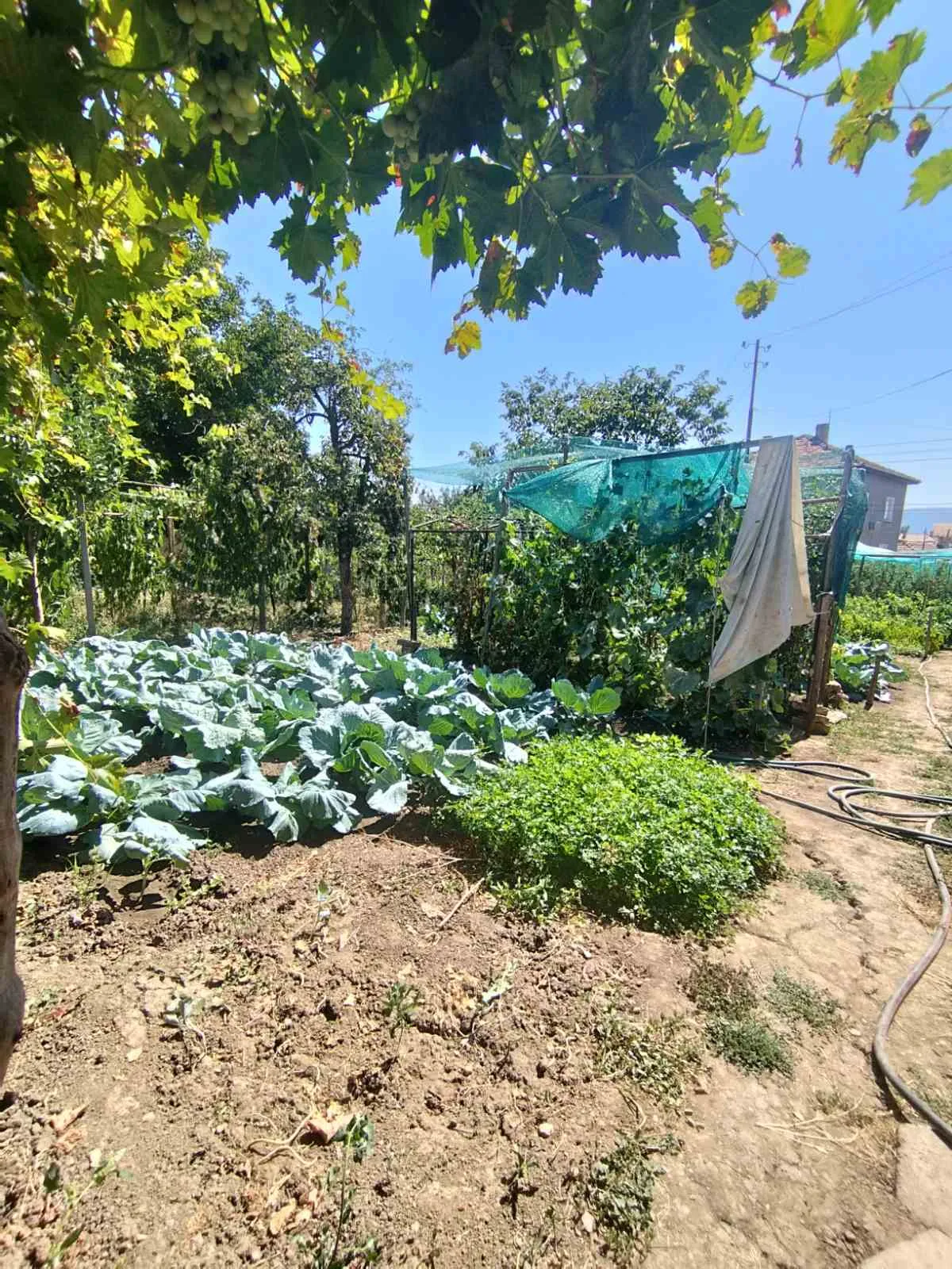 Къща, Търговище, Североизточна България - снимка 18 от 21