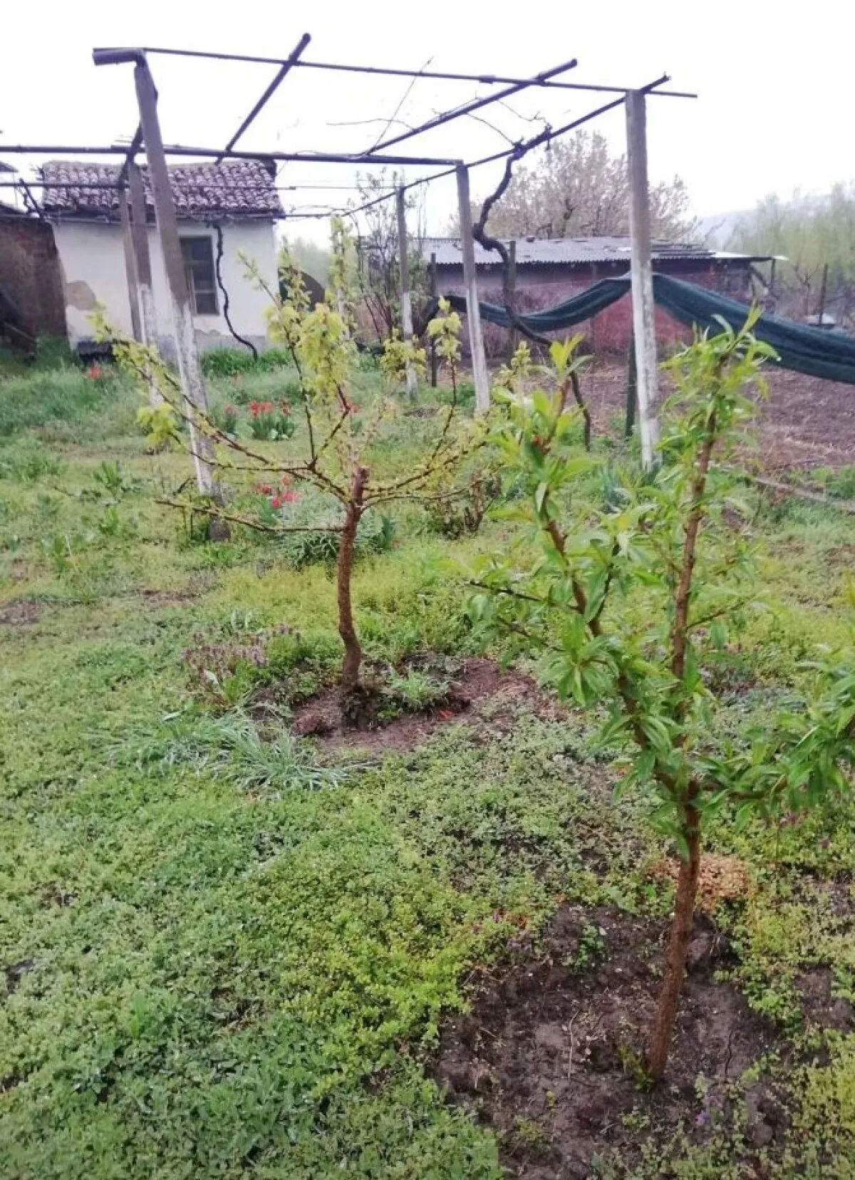 Къща, Пазарджик, Южна България - снимка 6 от 8