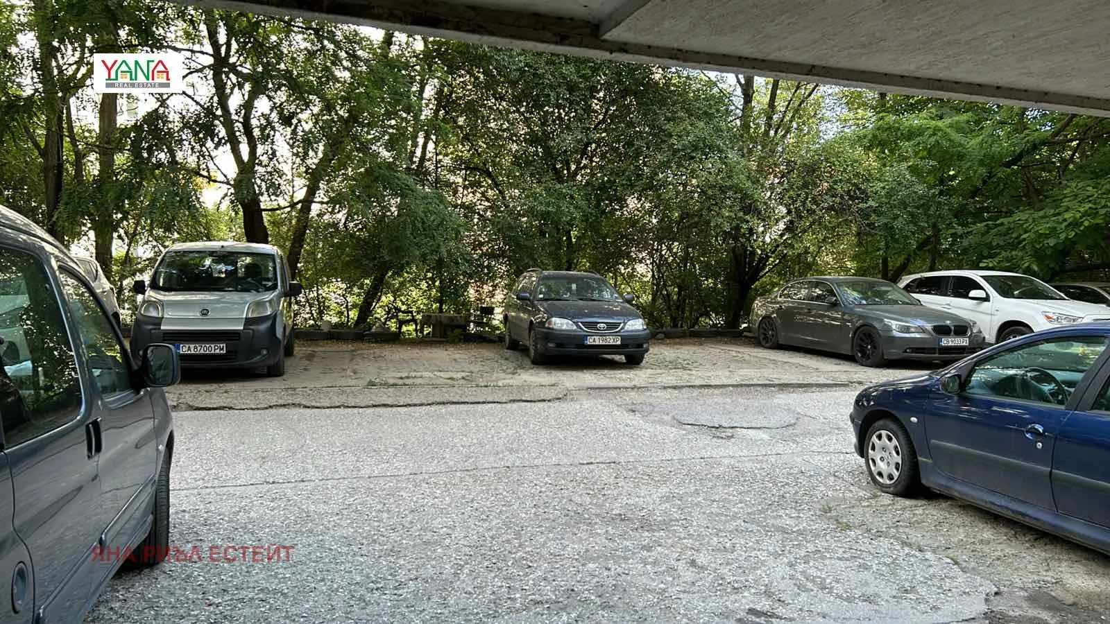 Property