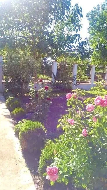 Къща, Враца, Северозападна България - снимка 7 от 18