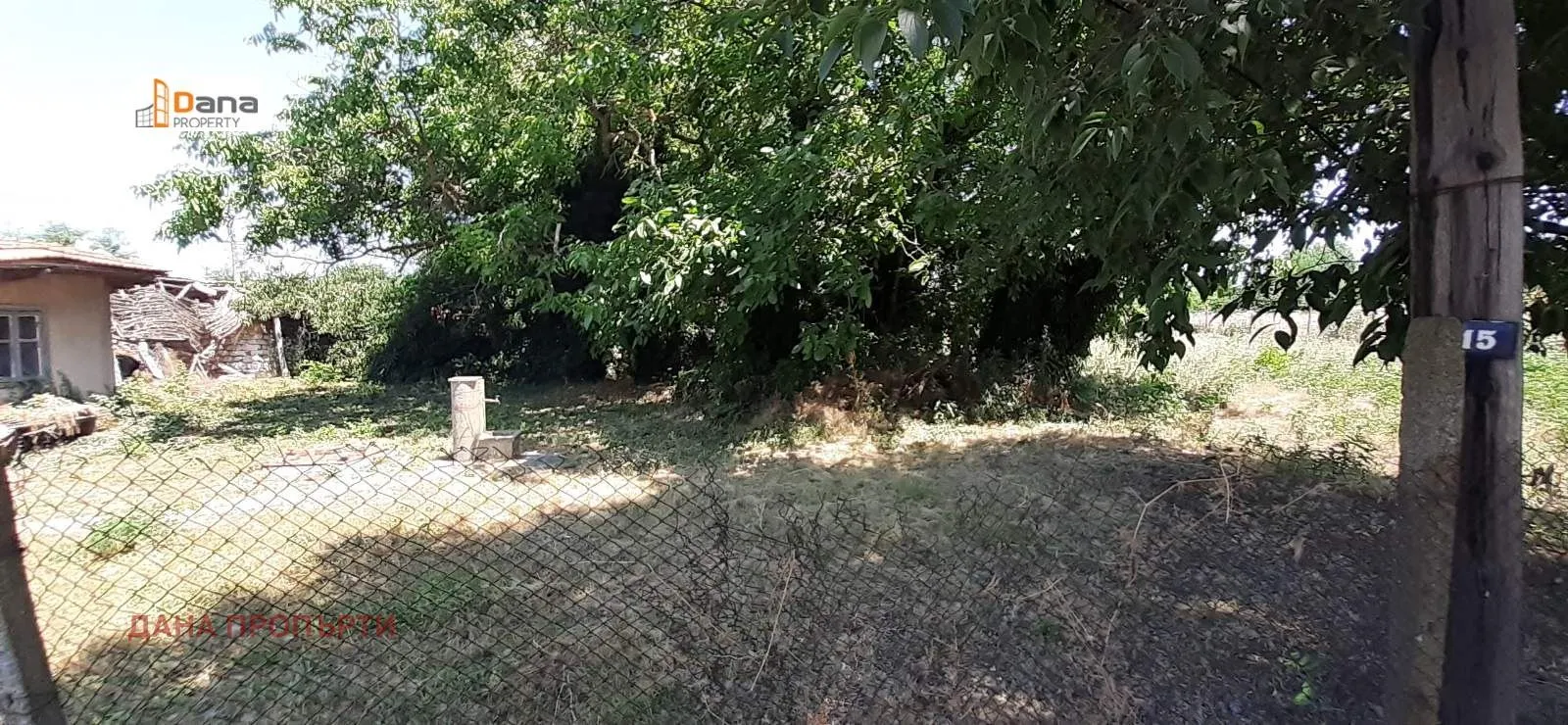 Property