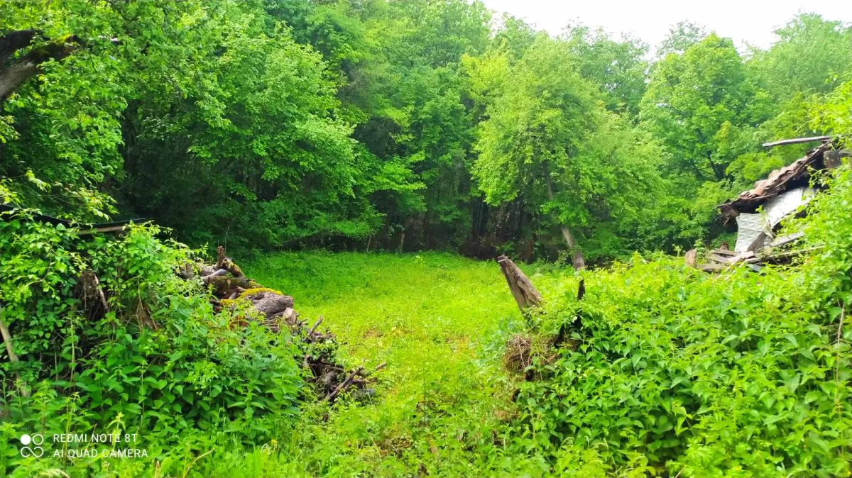 Къща, Пещера, Южна България - снимка 4 от 10