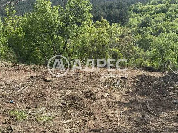 Парцел, Дъбрава, Стара Загора - снимка 4 от 5