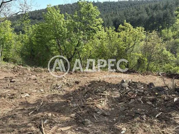 Парцел, Дъбрава, Стара Загора