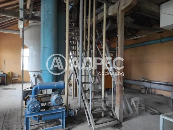 Производство, Каспичан, Североизточна България - снимка 2 от 9